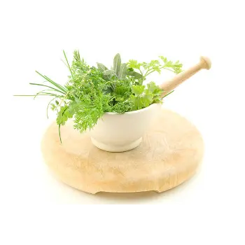 Fresh Dried Coriander Leaves
